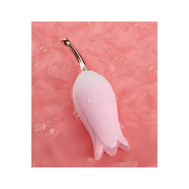 Bloom Clitoris Vibrator