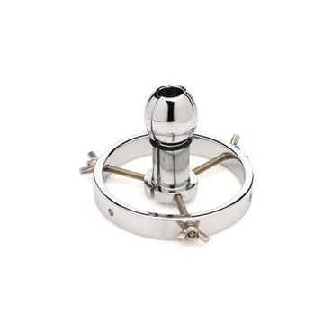 Roestvrij Stalen Anaal Verkenner