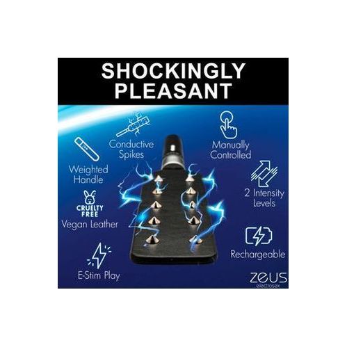 E-Stim Spiked Paddle